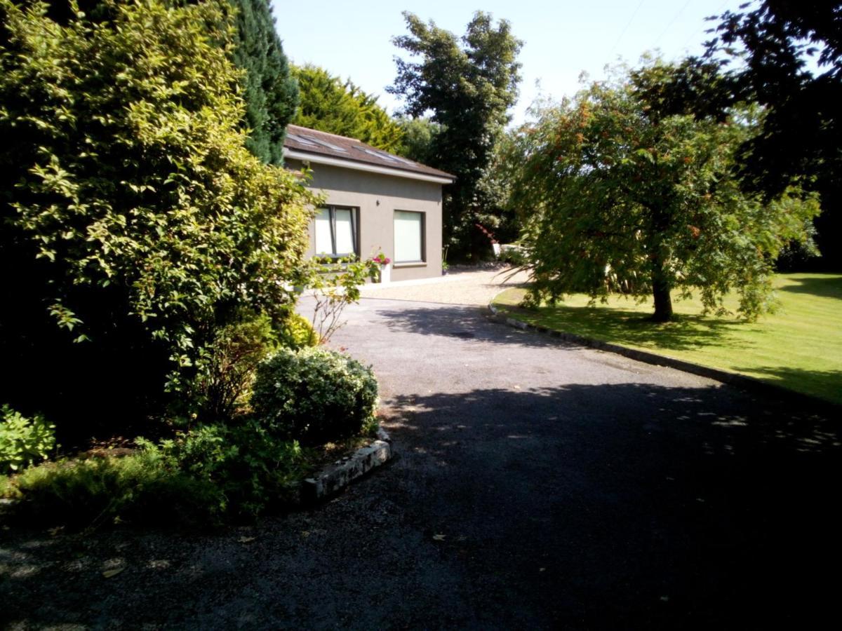 Appartement Spacious Contemporary Type Apartment. Galway
