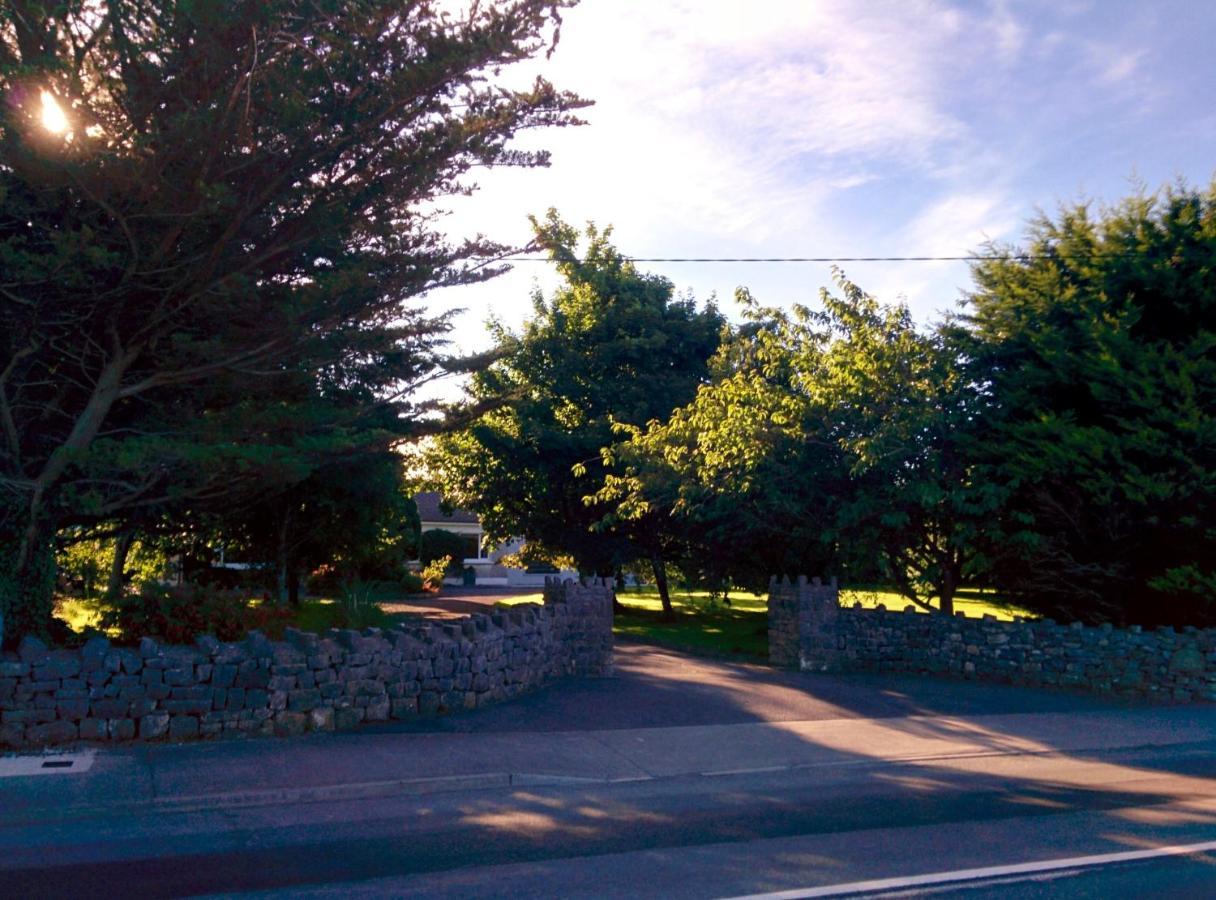 Spacious Contemporary Type Apartment. Appartement Galway