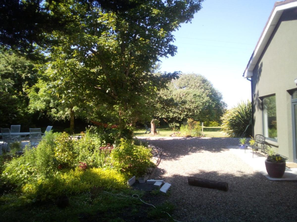 Spacious Contemporary Type Apartment. Appartement Galway